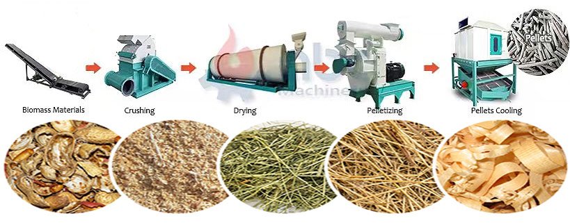 Economic Value of Pellet Mill and Hammer Mill in Feed Production 13