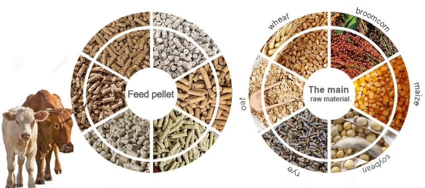 Economic Value of Pellet Mill and Hammer Mill in Feed Production 2 2