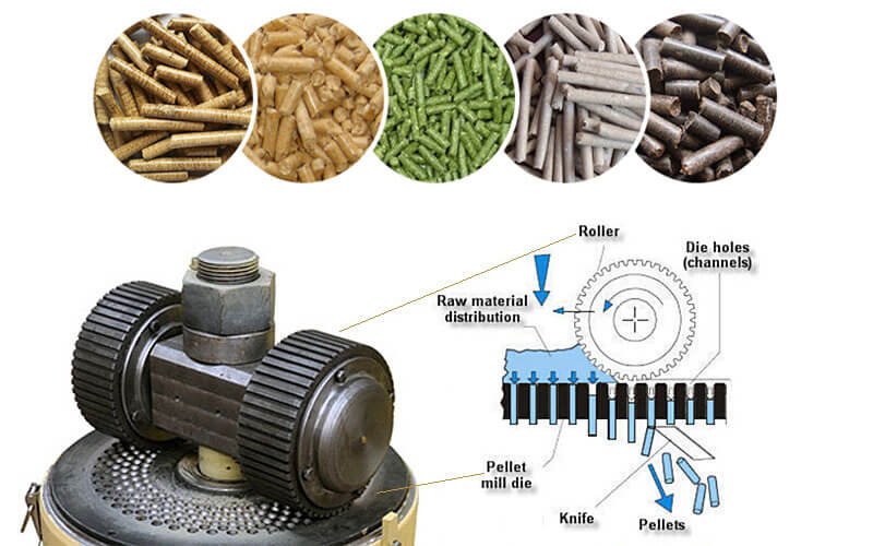 Compound Feed Production Technology 2 how to make a feed pellet machine 12