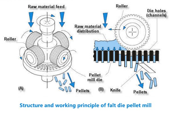 How to Choose Equipment for Setting Up a MAIKONG Feed Mill Plant