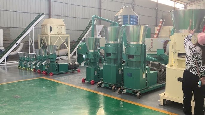 Modern industrial feed pellet machine manufacturing facility in Nigeria showing production line