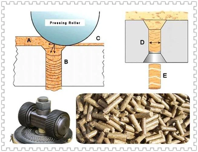 Modern feed pellet machine processing livestock feed in Nigerian farm setting