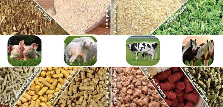 Used vs. New Feed Pellet Machine