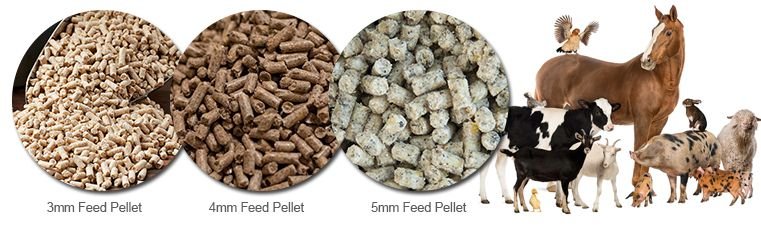 Industrial feed pellet machine production line in Nigerian factory showing small and large scale equipment comparison