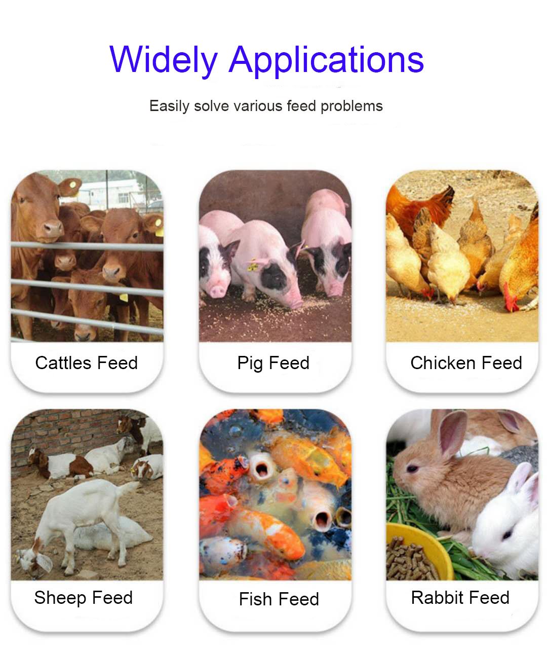 Fish Feed Pellet Machine 5 Fish Feed Pellet Machine