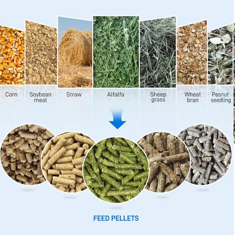 Diesel feed pellet machine operating on Nigerian farm without electricity