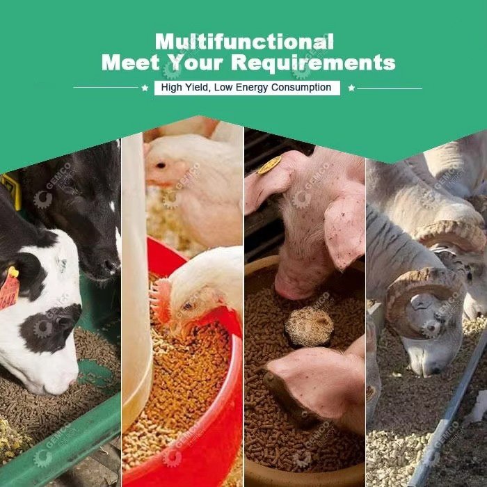 How to Import Feed Pellet Machine from China to Nigeria