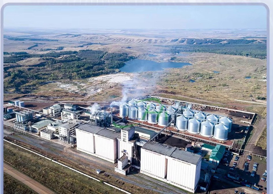 MAIKONG Feed Pellet Machine producing high-quality poultry feed pellets in Nigeria