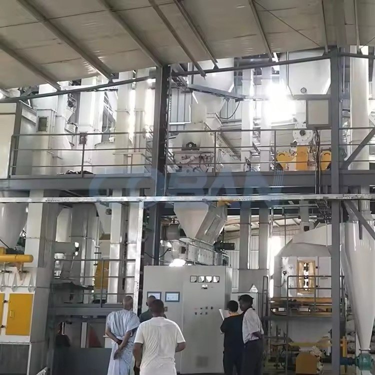 Cattle Feed Pellet Mill: Processing Grass and Grains 10 Cattle eating pelleted feed from a trough on a Nigerian farm