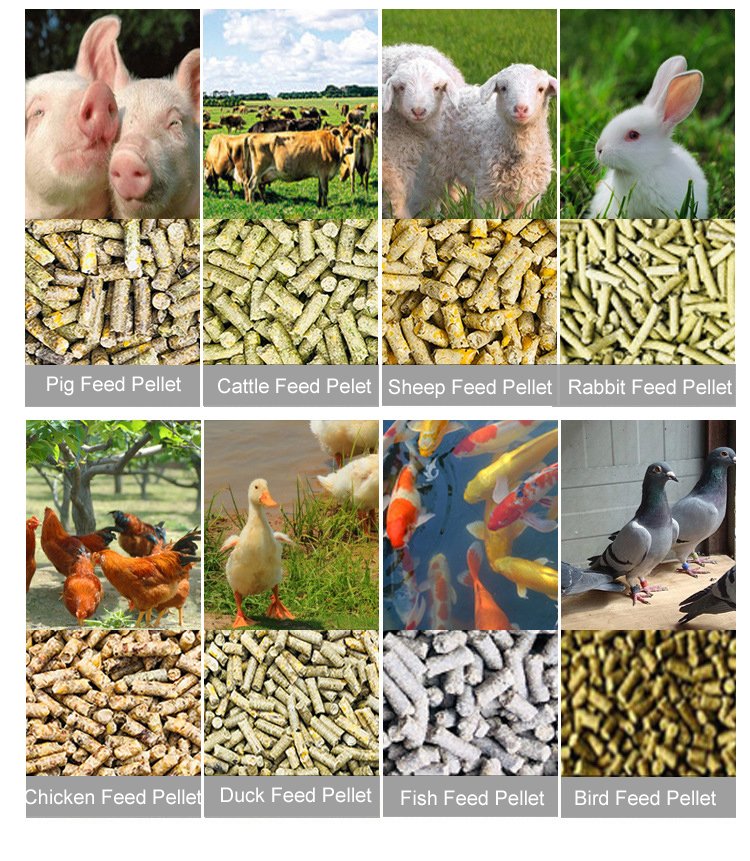 Fish Feed Pelleting Machine in Nigeria